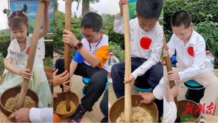 湖南城市学院：大手牵小手，茶香润心田