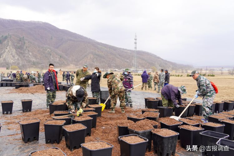 吉林森工红石林业有限公司推进基地建设，绘就“莓”好蓝图