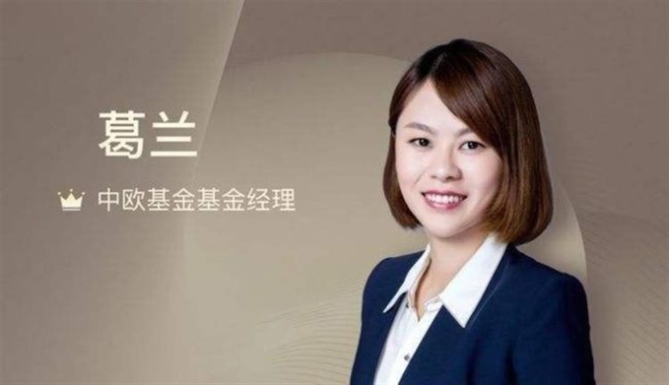 曾发公开信征婚爆红的女基金经理，澄清购买1.7亿豪宅传闻