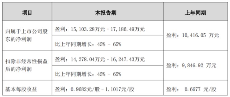 上市四年就得“大公司病”，你厨房里的小熊电器，没有那么可爱