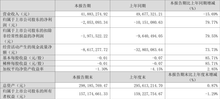 ST步森：2023年一季度亏损205.31万元