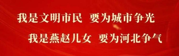 邯郸冀南新区 | 这些产品远销澳、美、欧等20多个国家……