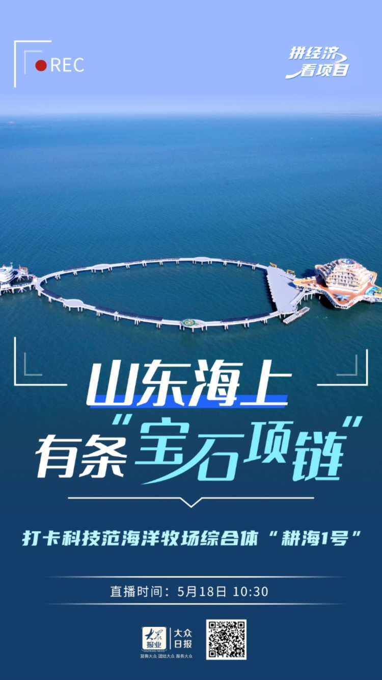 直播预告丨“拼经济 看项目”：山东海上有条“宝石项链”