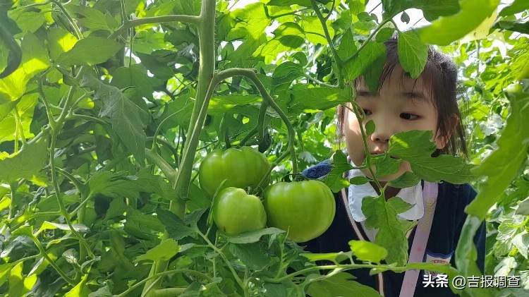 打好“农旅融合”牌，长春市双阳区发展优势产业推进乡村振兴