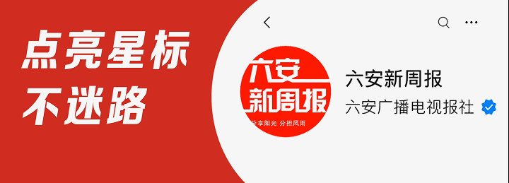 去上海亮亮相！六安“宝藏”中药材借东风出深山……