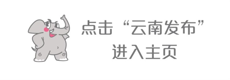 云南生物多样性和社区多样化协同发展示范项目启动