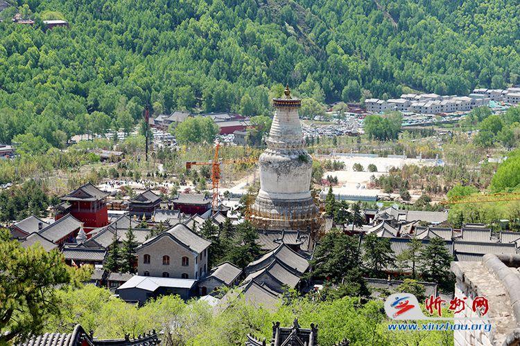 “东方甄选”直播专场走进五台山景区