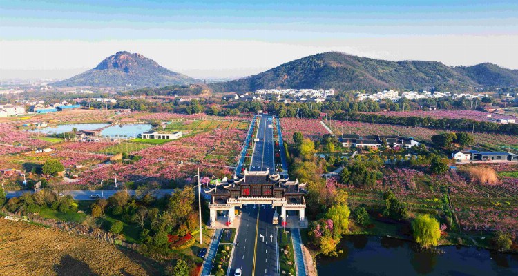 江苏省无锡市惠山区： 加快建设“四园”  让蜜桃产业更甜蜜