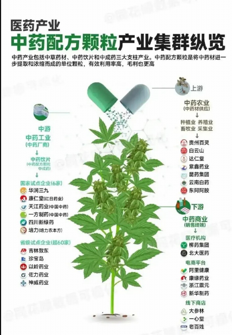 中药板块核心龙头股大汇总，极具主升浪时机，请收好