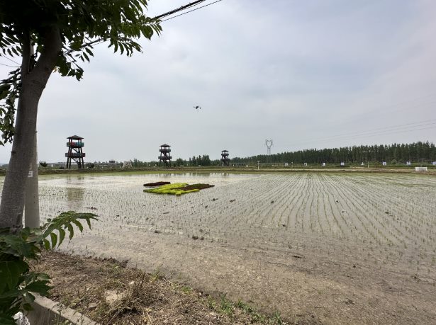 节约集约用地、严守耕地红线，济南多举措保障土地资源高效利用