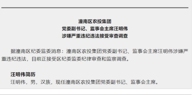 重庆潼南区农投集团党委副书记、监事会主席汪明伟接受审查调查