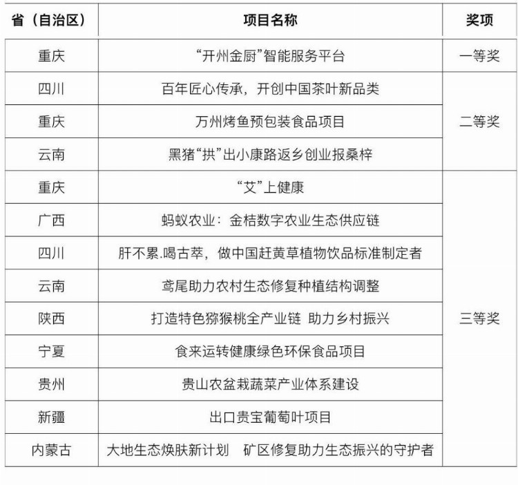 12个省市27个参赛队伍同台竞技 重庆创业者夺魁