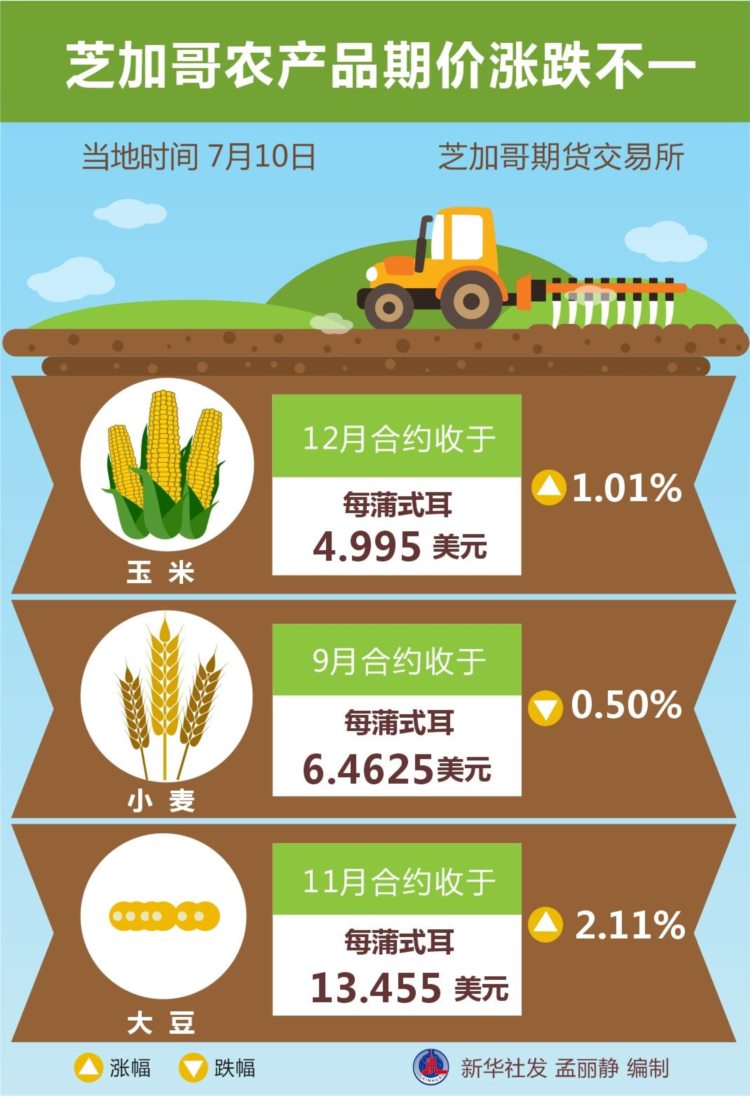 （图表）［财经·行情］芝加哥农产品期价涨跌不一