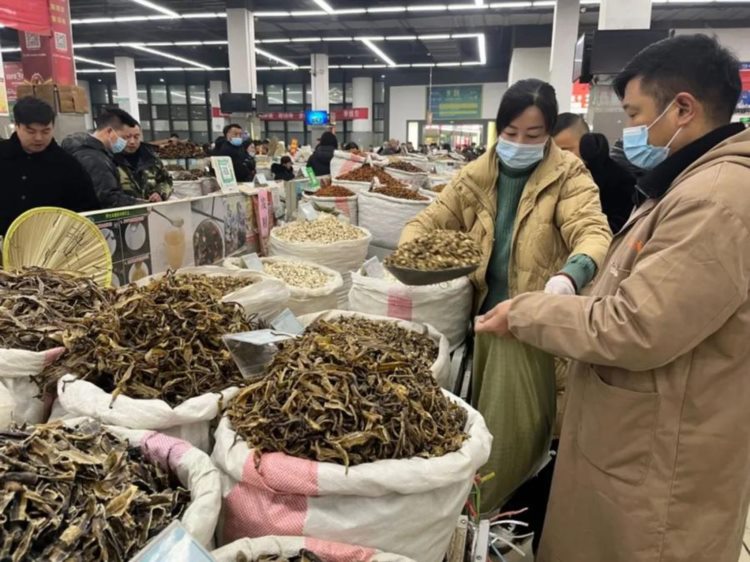 热炒下的中药材：价格虚高但出货量少