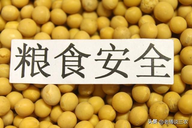 俄罗斯大豆与拉美大豆有很大区别，为何我国不多进口俄罗斯大豆？