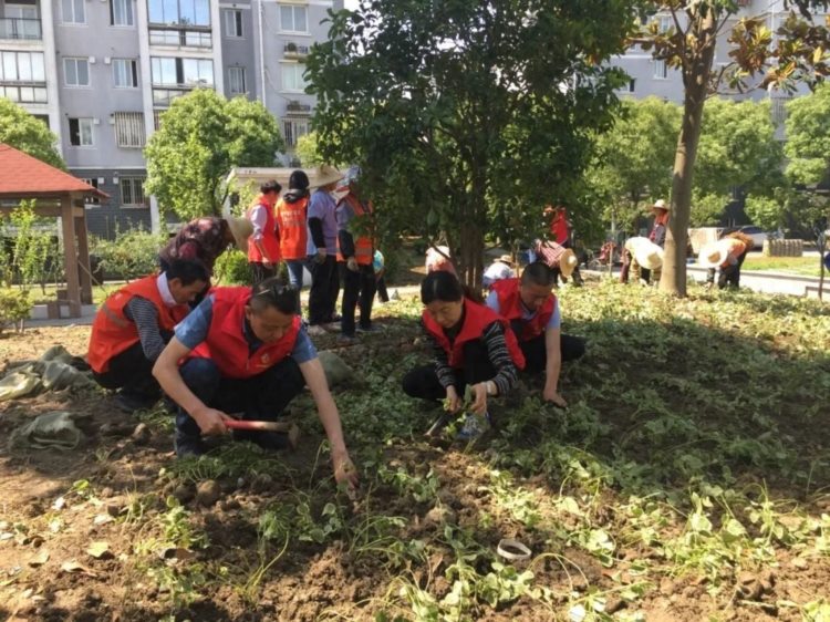 共治共享！看金山这个近万人的动迁安置小区怎么做→