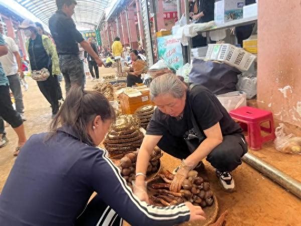 吃货抓紧！昆明野生菌数量大减见手青价格猛涨