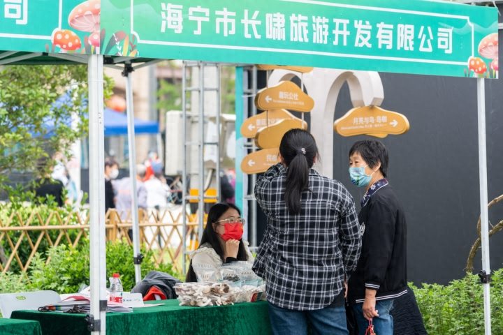 “晒着太阳躺赢赚钱” 一块小小光伏板如何“电”亮浙江乡村