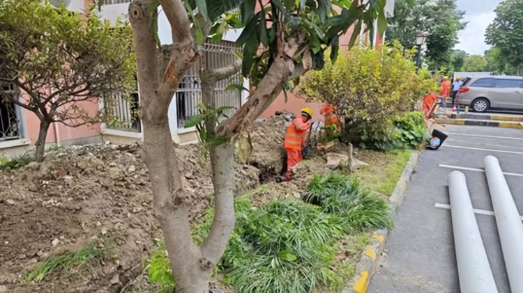 闵行这些小区完成雨污分流改造工程有利于水环境质量提升