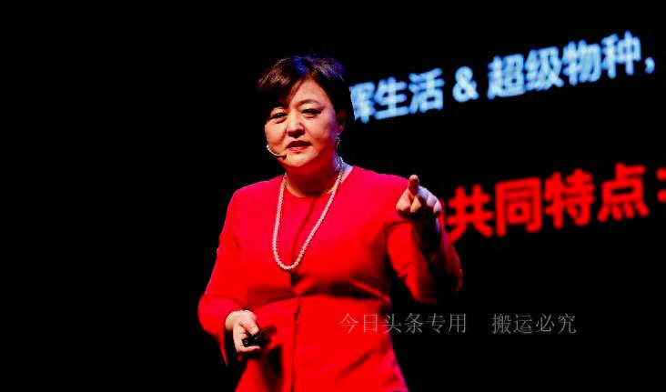 京东新CEO徐雷：他不是投资女王徐新的弟弟更不是元帅的孙子