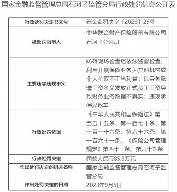 中华财险石河子分公司涉9罚单妨碍现场检查组检查等