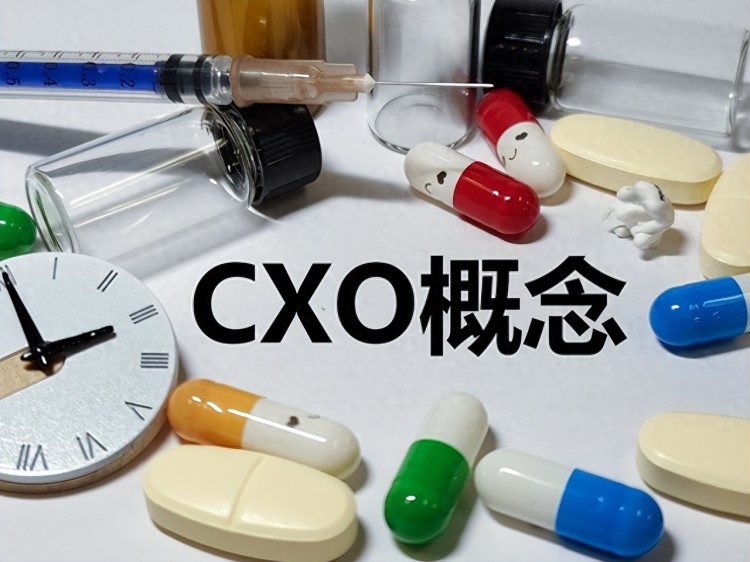 医药底部迎反转，这5家“CXO概念”顶尖企业，迎来翻倍机遇