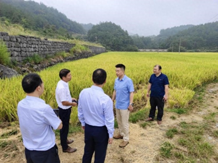 广发银行长沙分行到邵东市野鸡坪村调研乡村振兴工作