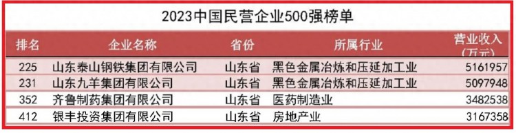 山东济南第一大民企：营收超510亿力压九羊集团远超齐鲁制药