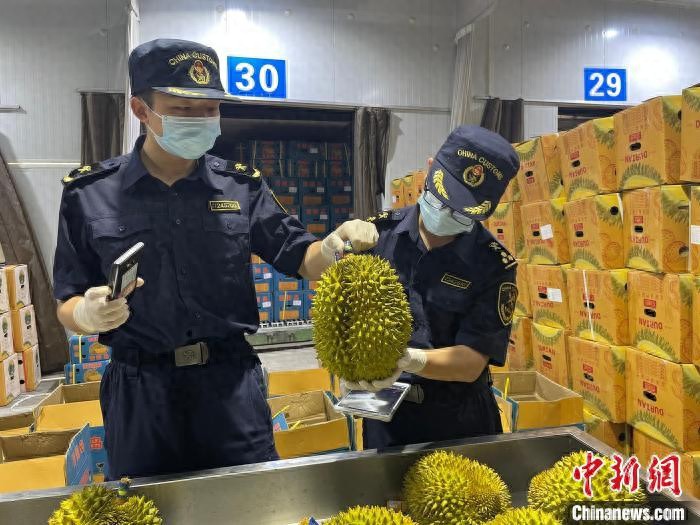 双节前广西友谊关口岸瓜果飘香通关忙