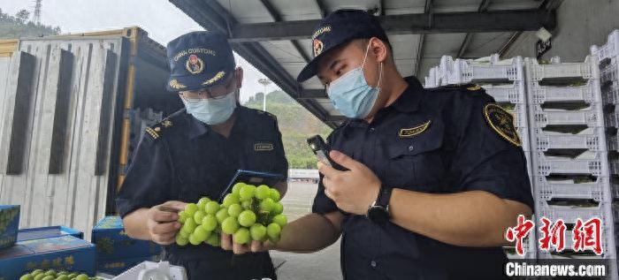 双节前广西友谊关口岸瓜果飘香通关忙