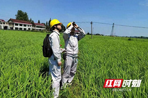 国网益阳供电公司：蹲守巡视双保险 “双节”精心保供电安全