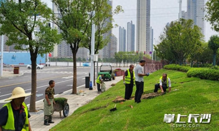 长沙城发泓盈集团逾两千人坚守岗位，全力保障城市运营服务