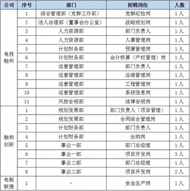 社招电投融和新能源发展有限公司招聘公告