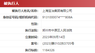 上海宝冶集团有限公司一个月内两度被列为被执行人