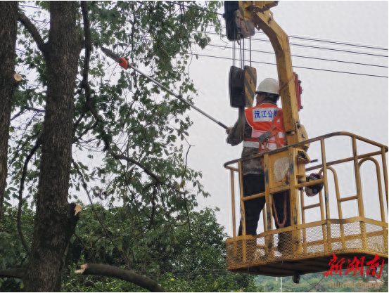 沅江市公路建设养护中心：为行道树减肥让标志牌露脸