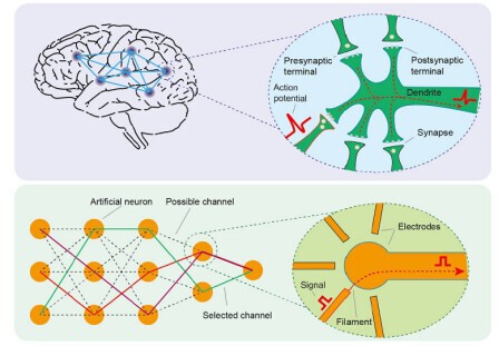 我国科学家在类脑芯片领域取得新进展