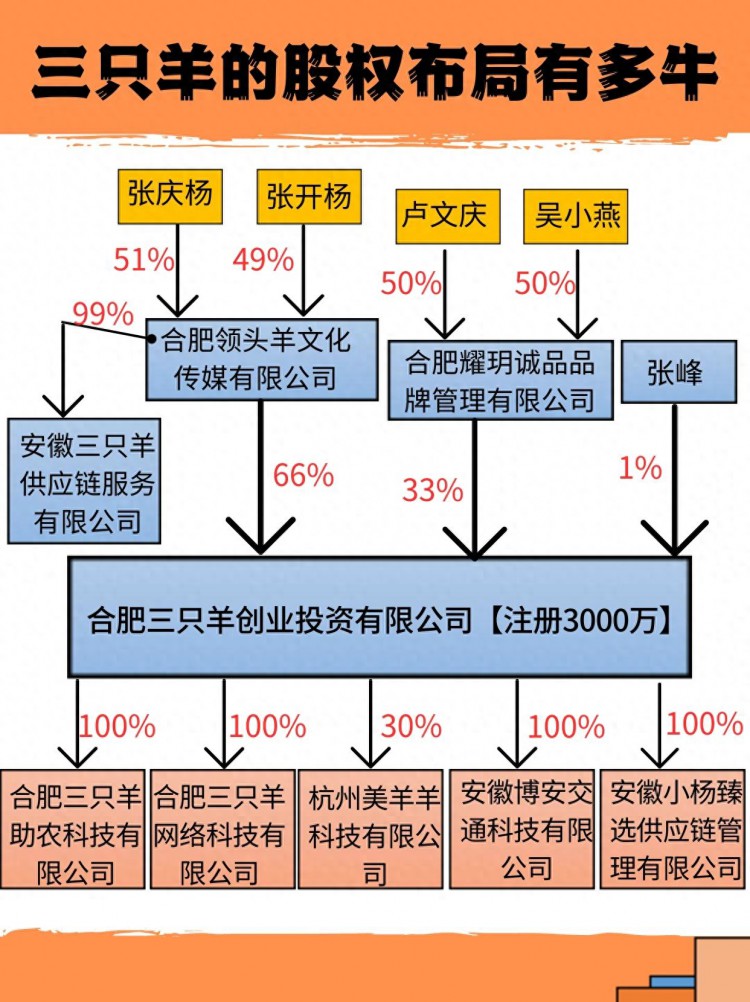 你知道疯狂小杨哥的股权布局有多牛吗