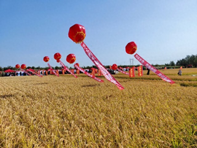 中国又少了一个千万人口城市长沙和杭州常住人口为何却暴增