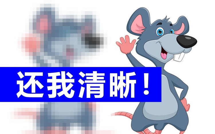 美第二巨头宣布破产！价格猛降90%跌至270元，天价神话终结在河南